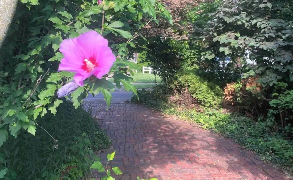 Photo of Outdoor in Toledo