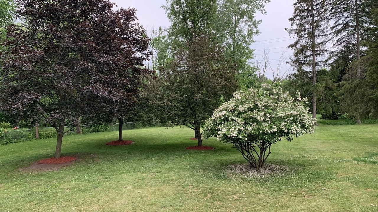Photo of Outdoor in Midland