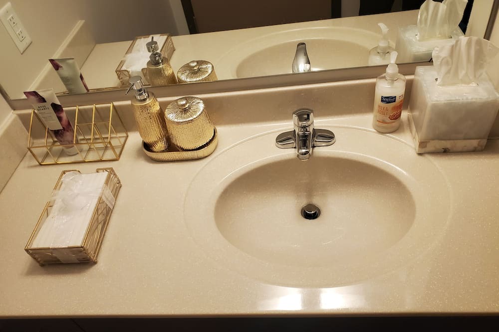 Photo of Bathroom in Downtown Toledo
