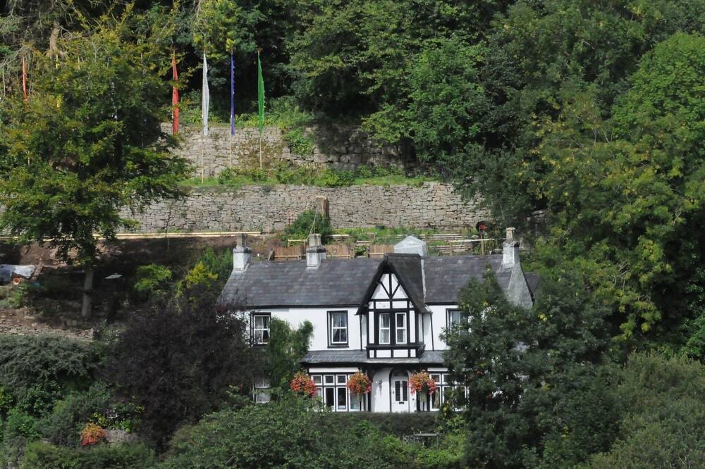 Photo of Others in Tintern