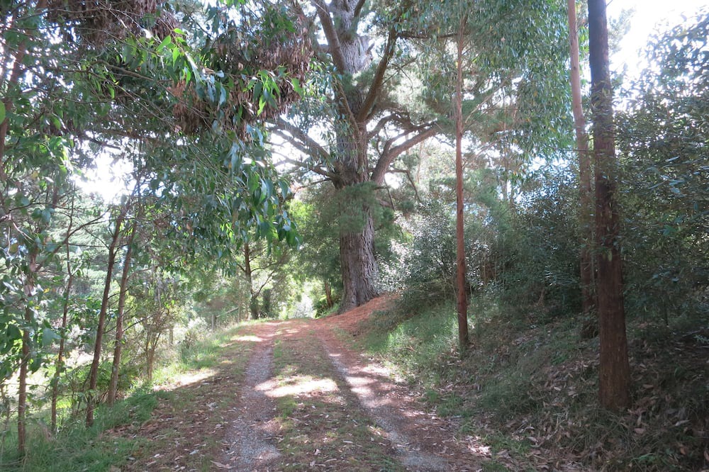 Photo of Outdoor in Foster North