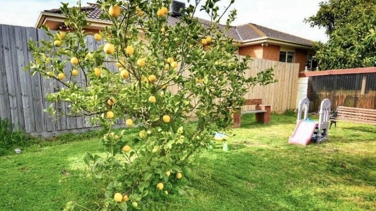 Photo of Outdoor in Mentone