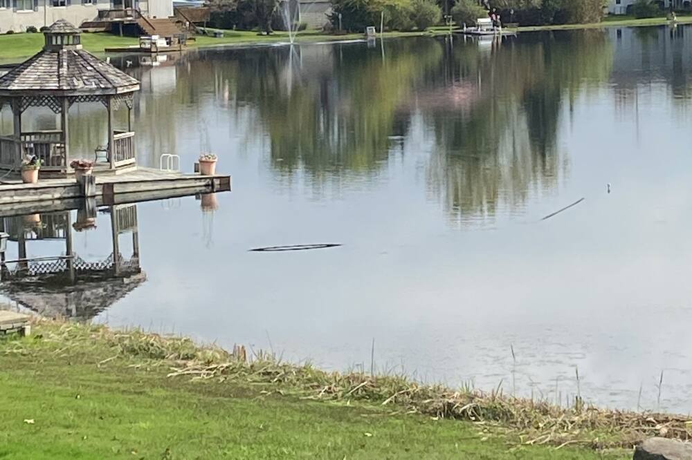 Photo of Outdoor in Auburn Hills