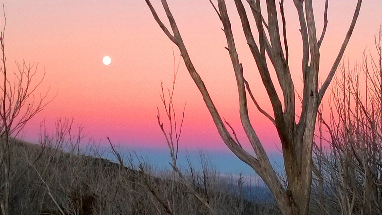 Photo of Others in Marysville