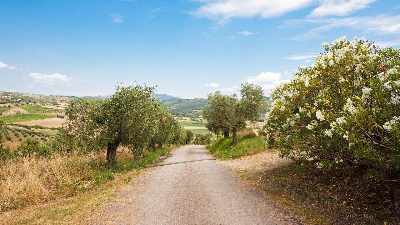 Photo of Others in Castiglione del Lago