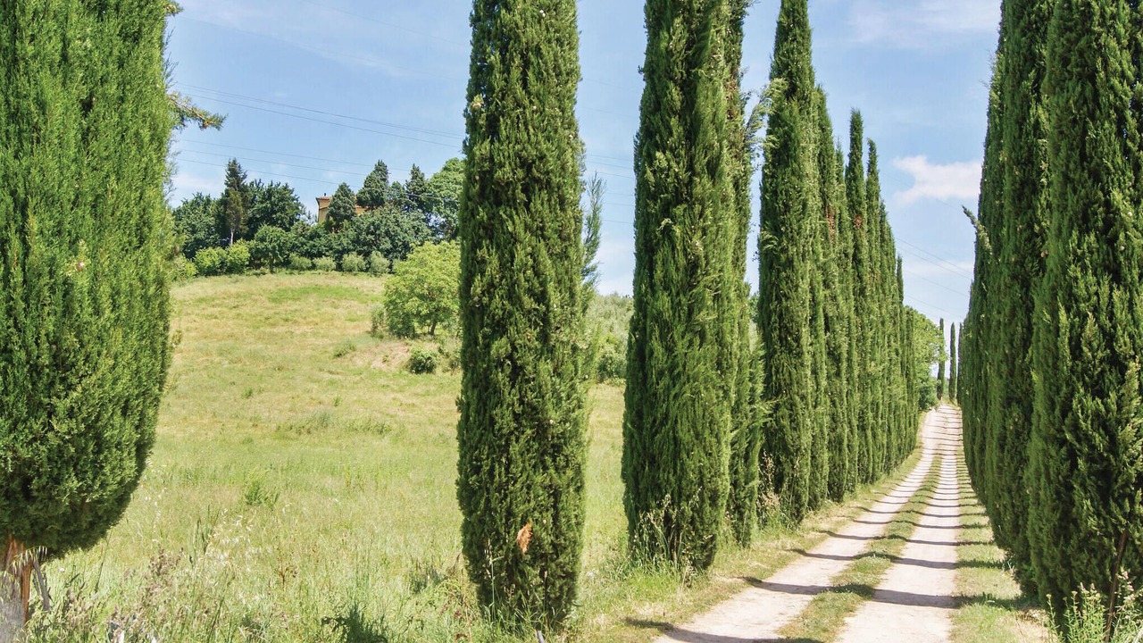 Photo of Outdoor in Castiglione del Lago
