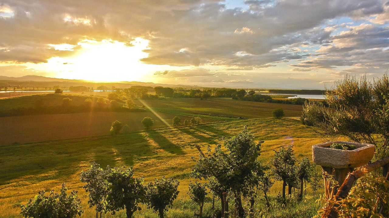 Photo of Others in Castiglione del Lago
