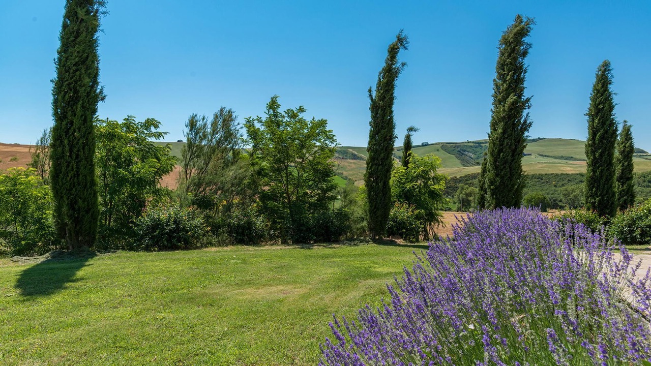 Photo of Others in Il Poggio