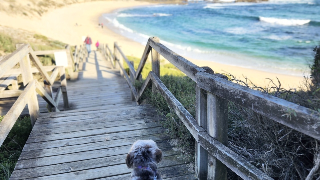 Photo of Outdoor in Kilcunda