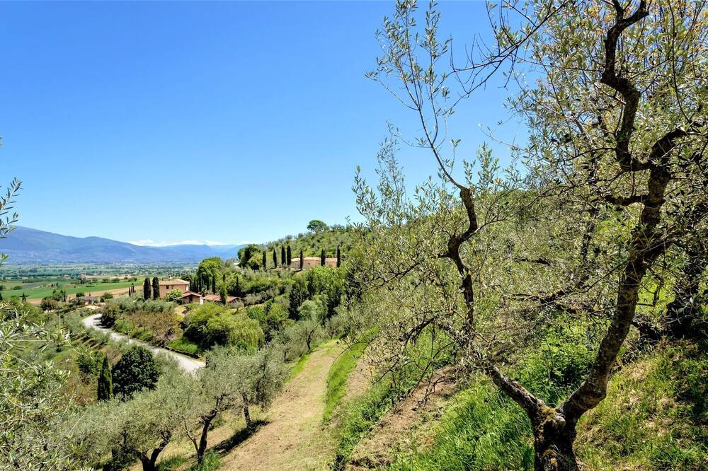 Photo of Others in Bettona