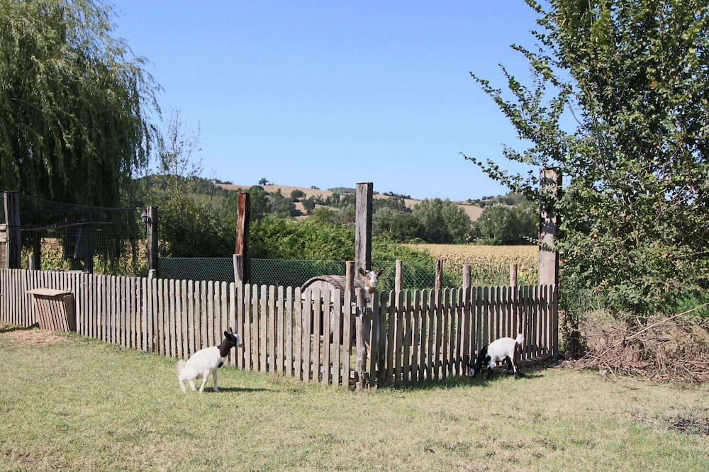 Photo of Others in Todi