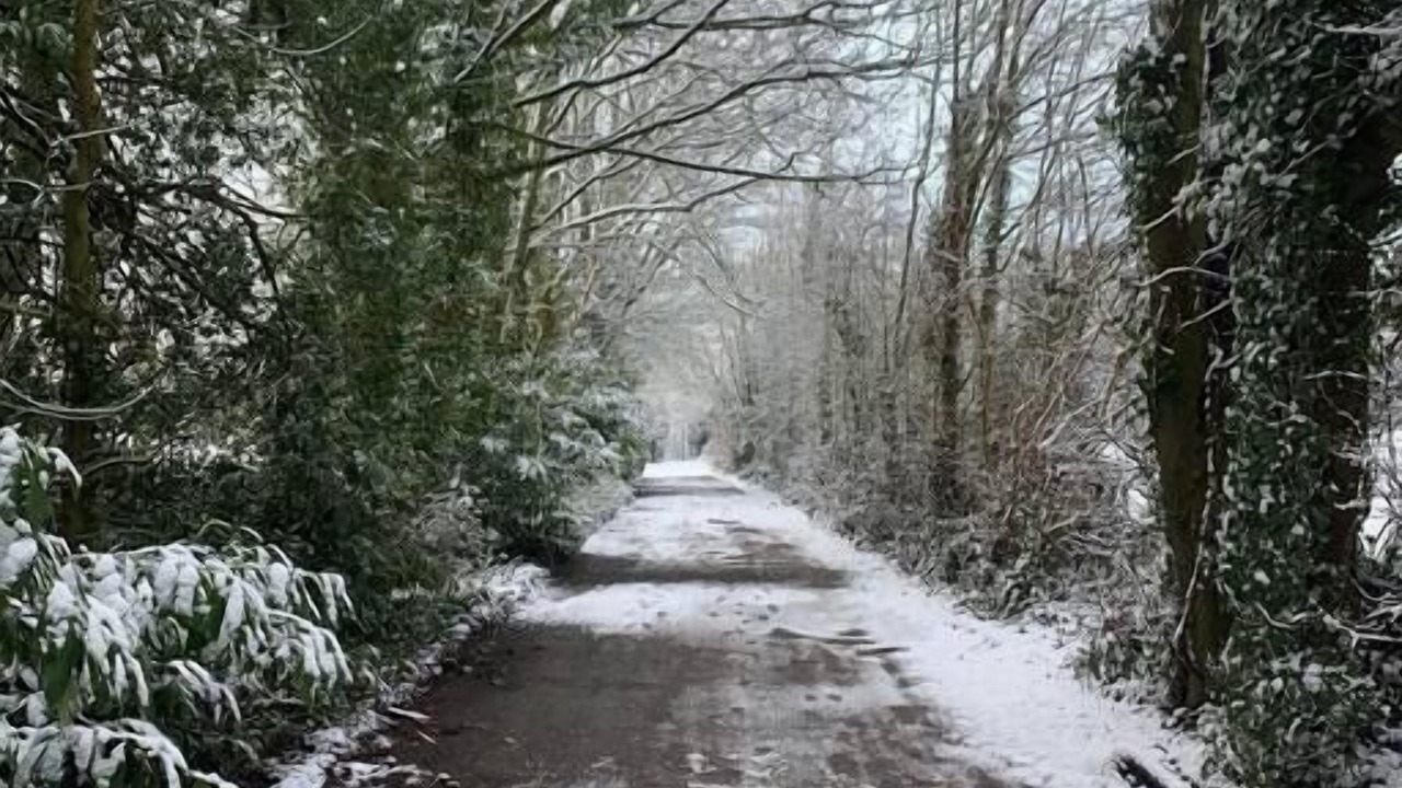 Photo of Outdoor in Lydney