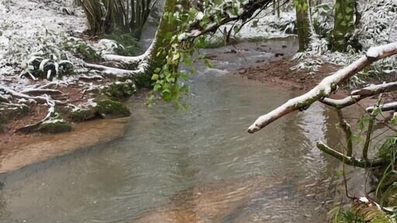 Photo of Outdoor in Lydney