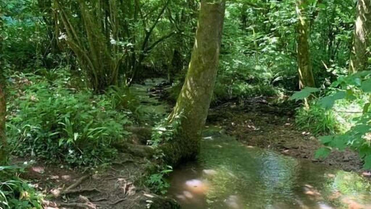 Photo of Outdoor in Lydney