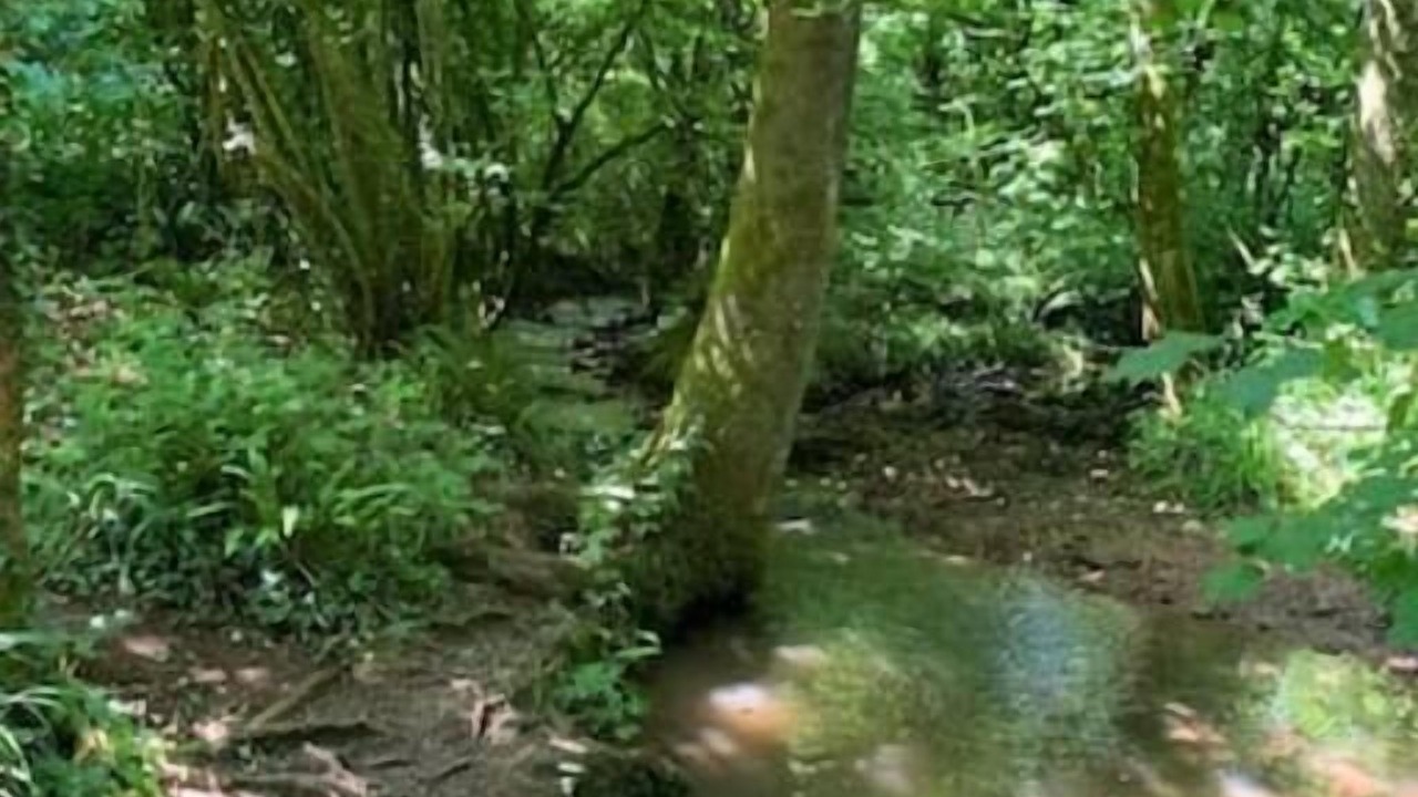Photo of Outdoor in Lydney