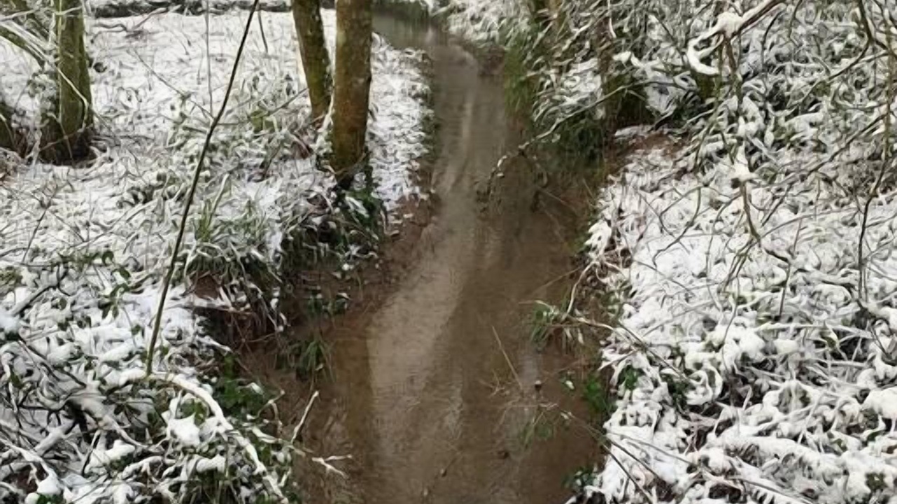 Photo of Outdoor in Lydney