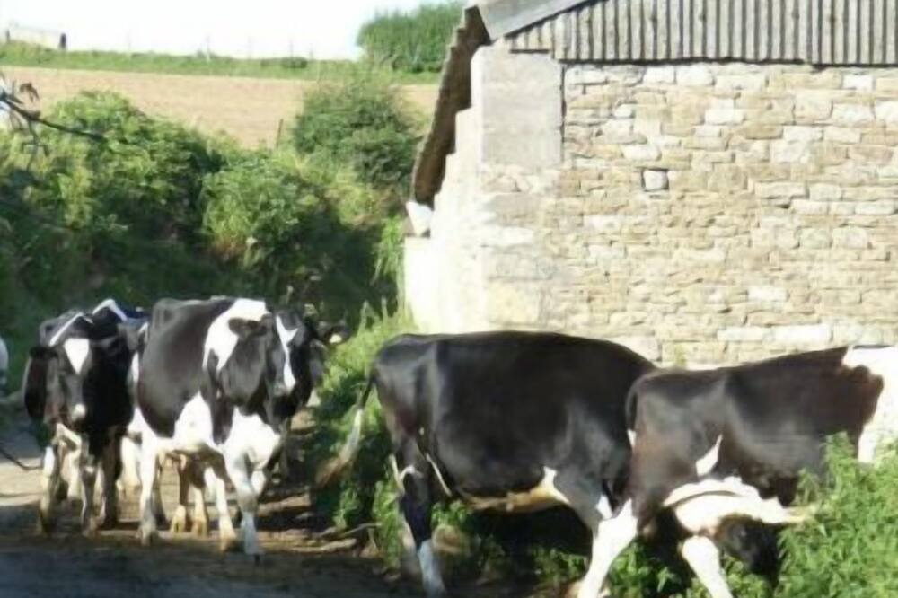Photo of Outdoor in Slaughterford
