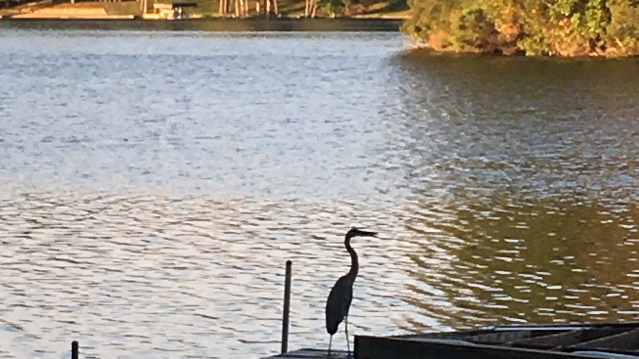 Photo of Outdoor in Mecosta