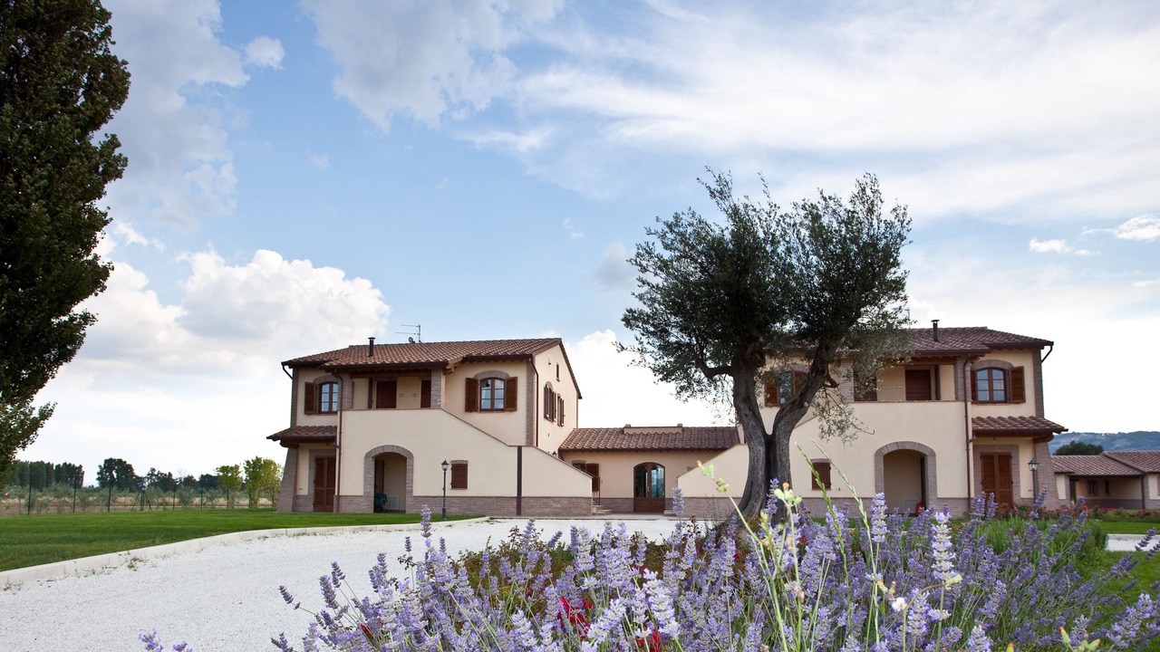 Photo of Outdoor in Cannara