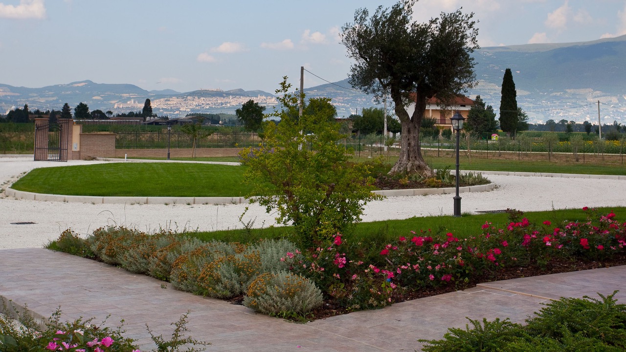 Photo of Outdoor in Cannara