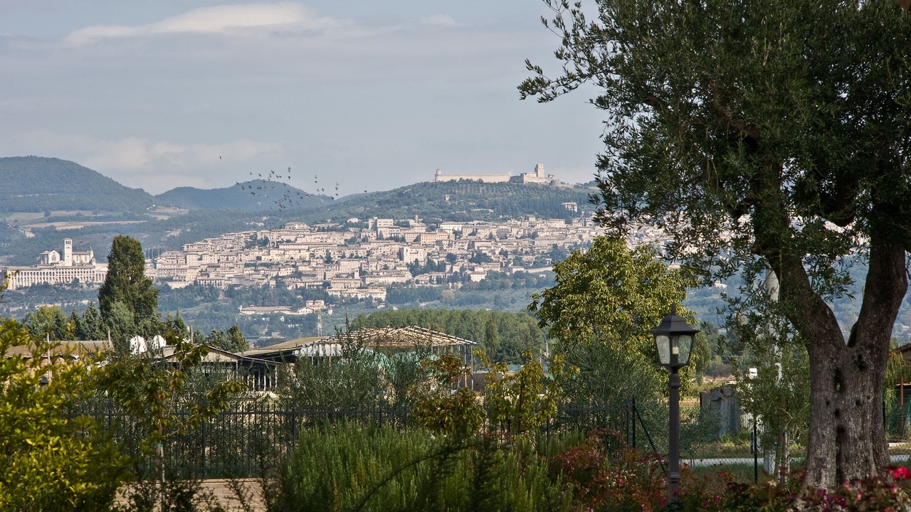 Photo of Outdoor in Cannara