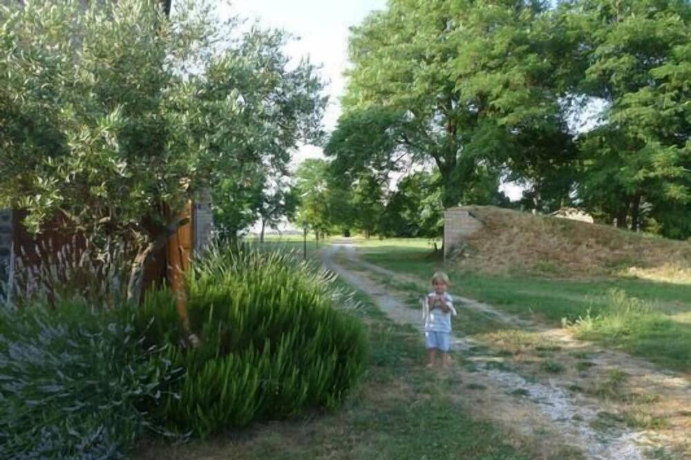 Photo of Outdoor in Castel Giorgio