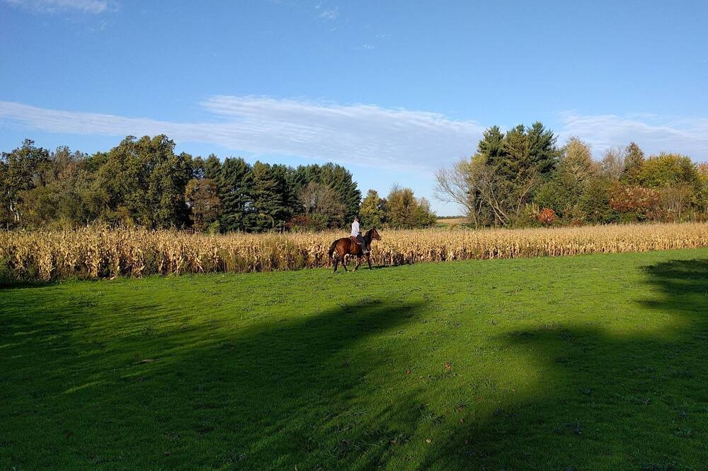Photo of Outdoor in Sodus