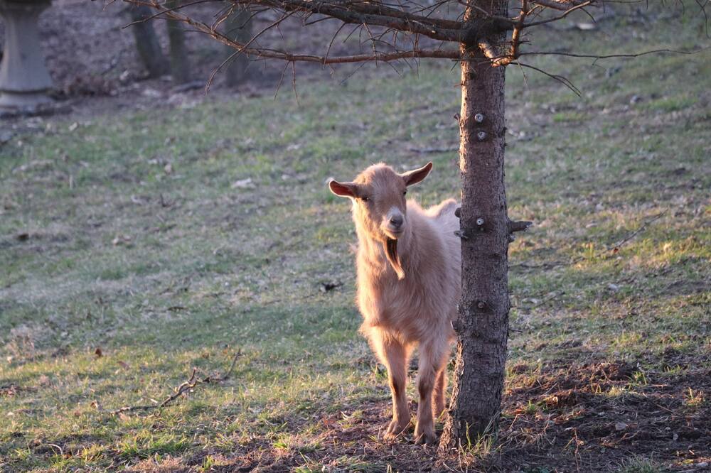 Photo of Others in Sodus