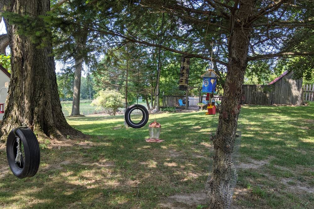 Photo of Outdoor in Sodus