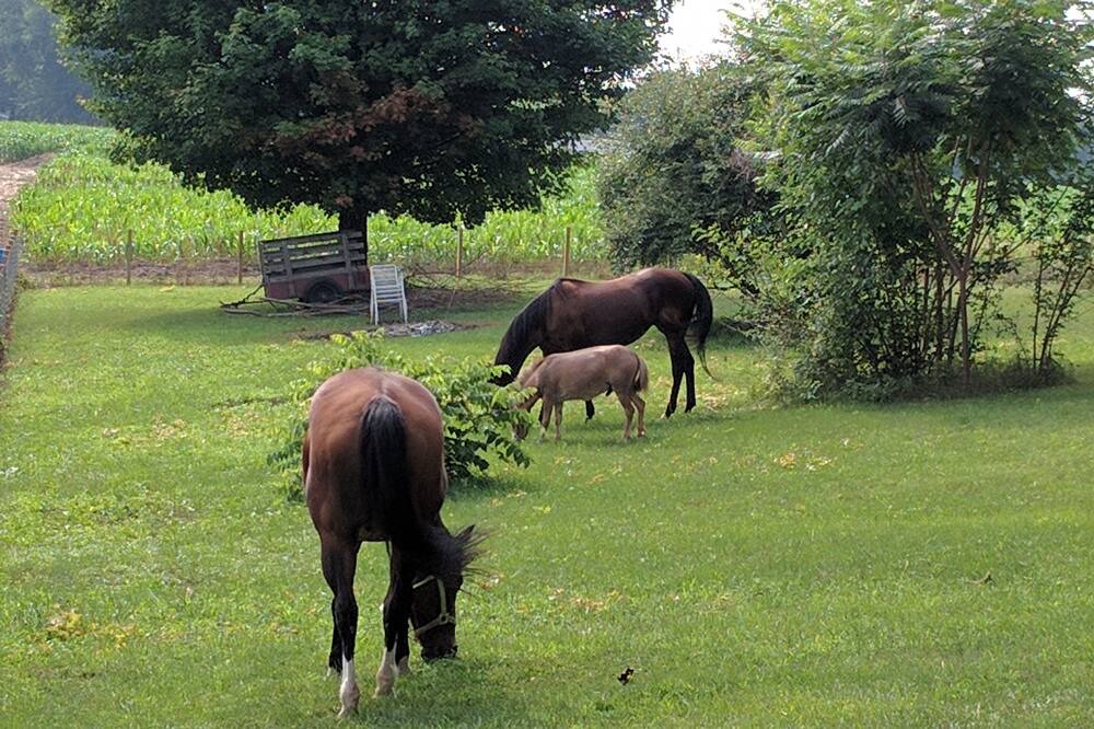 Photo of Outdoor in Sodus