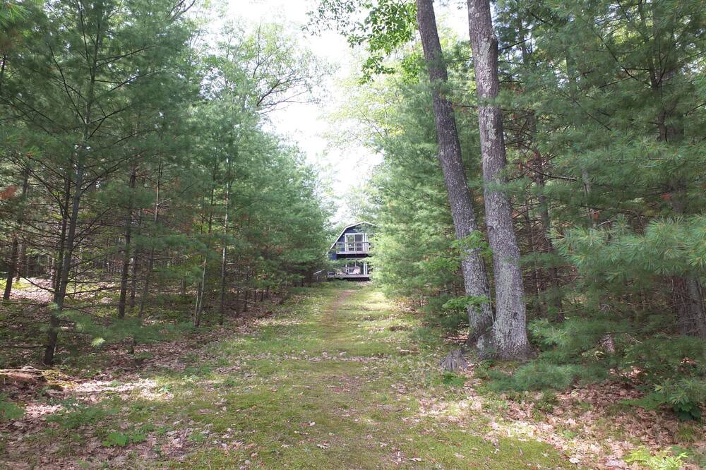 Photo of Outdoor in Kalkaska