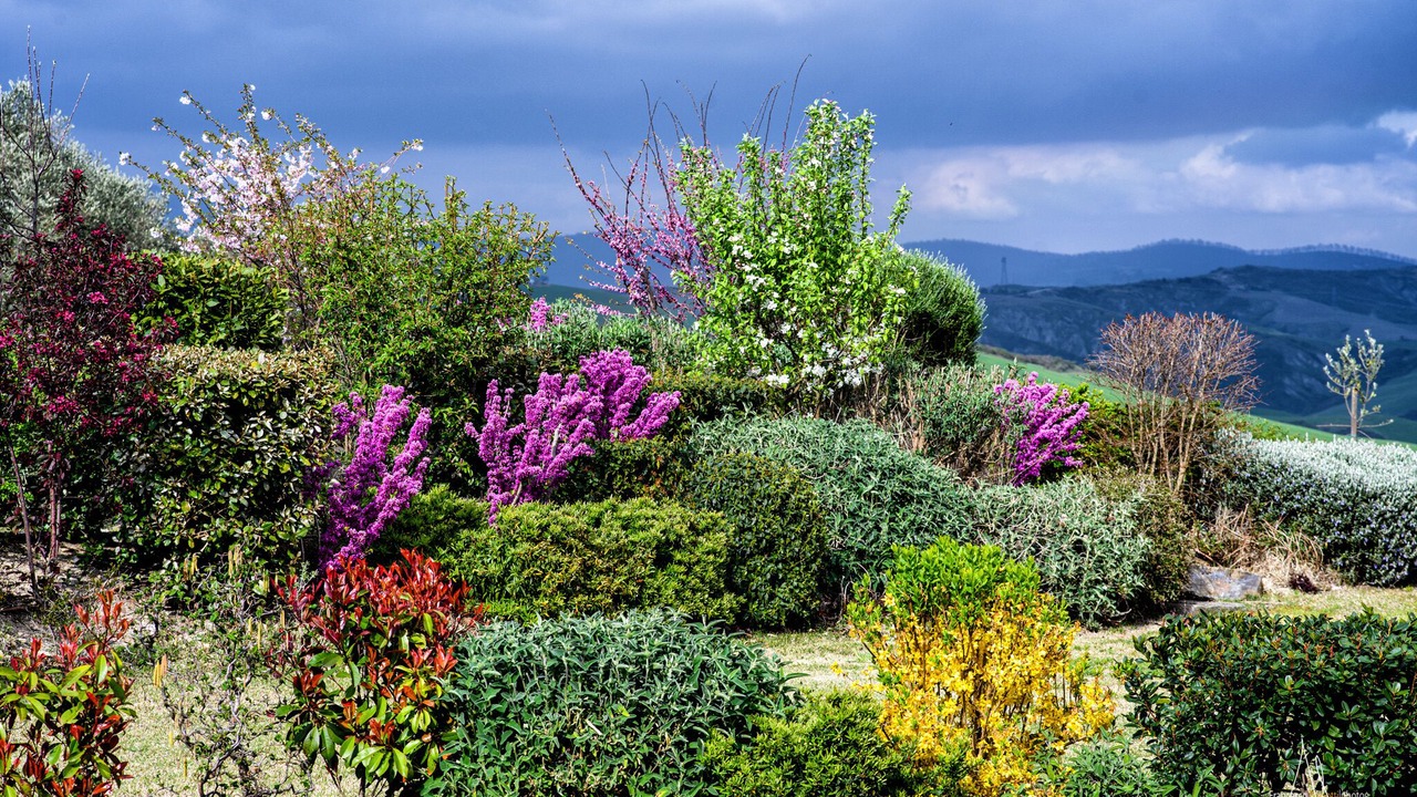 Photo of Outdoor in Il Poggio