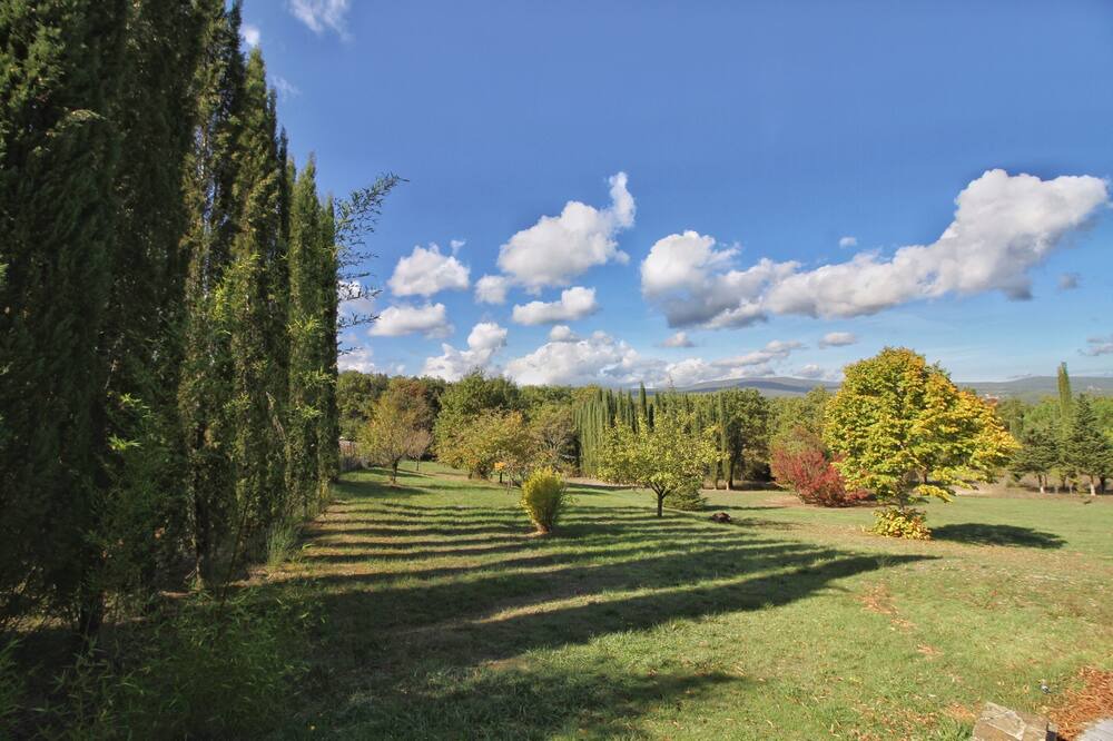 Photo of Outdoor in Siena
