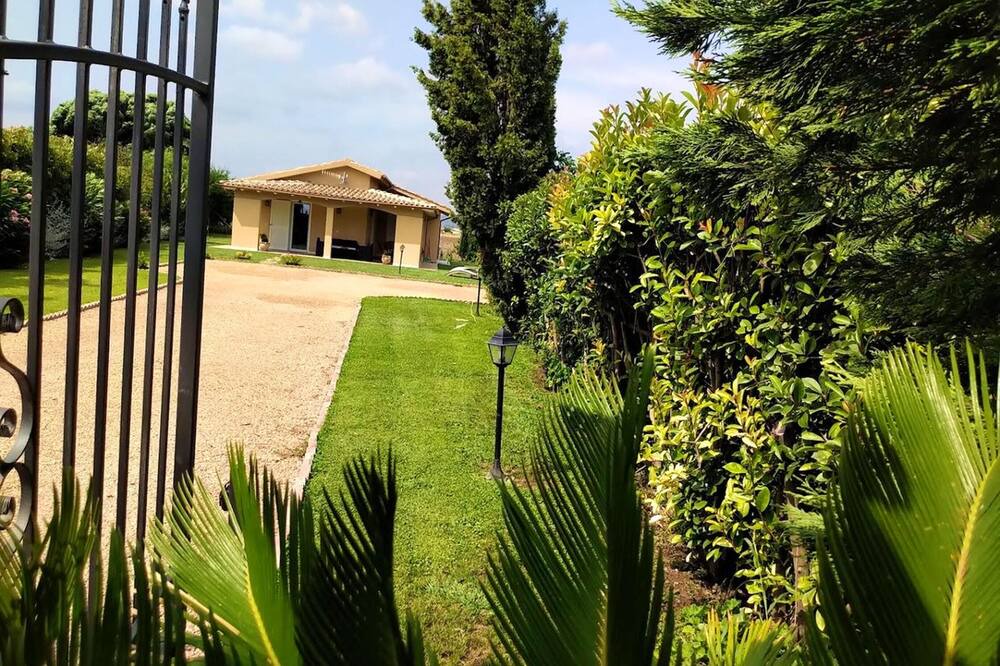 Photo of Outdoor in Pescia Romana