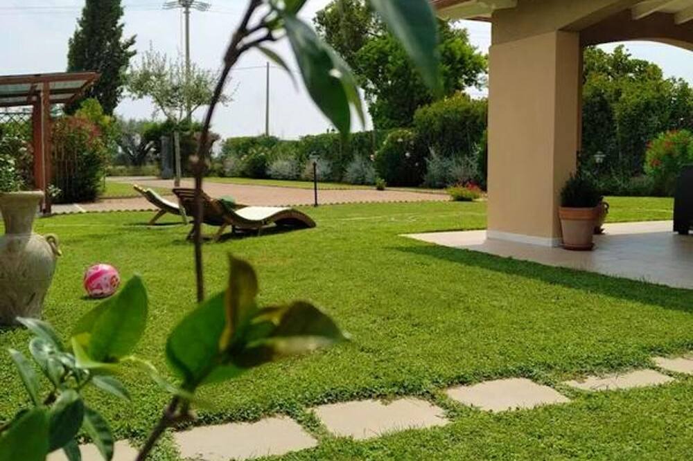 Photo of Outdoor in Pescia Romana
