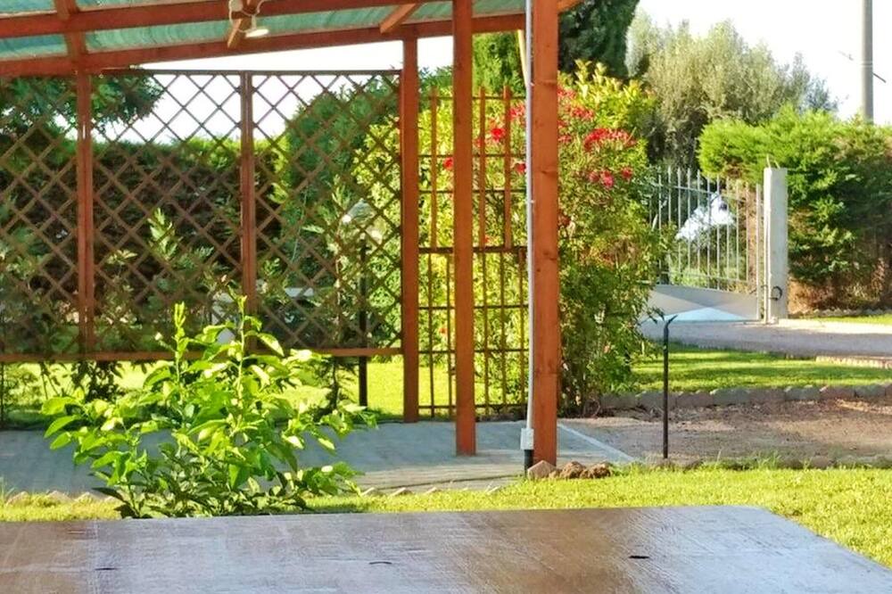 Photo of Outdoor in Pescia Romana