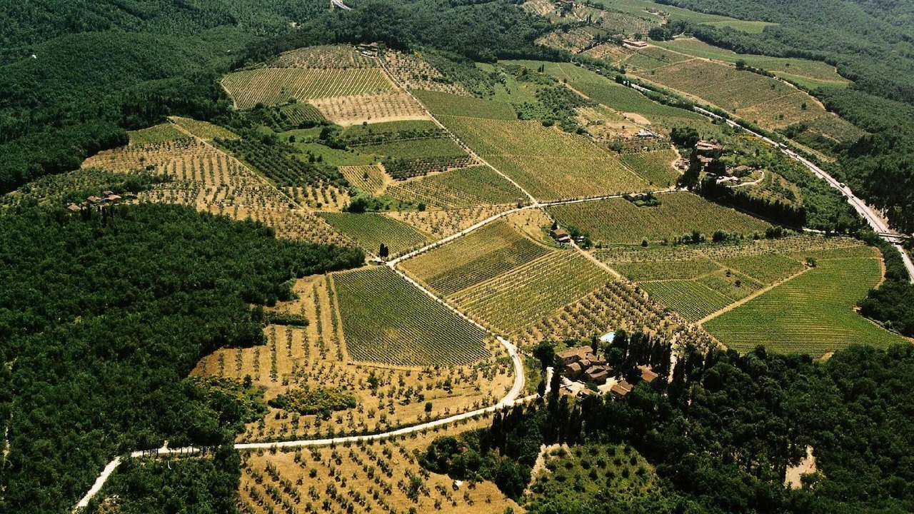 Photo of Outdoor in Barberino Tavarnelle