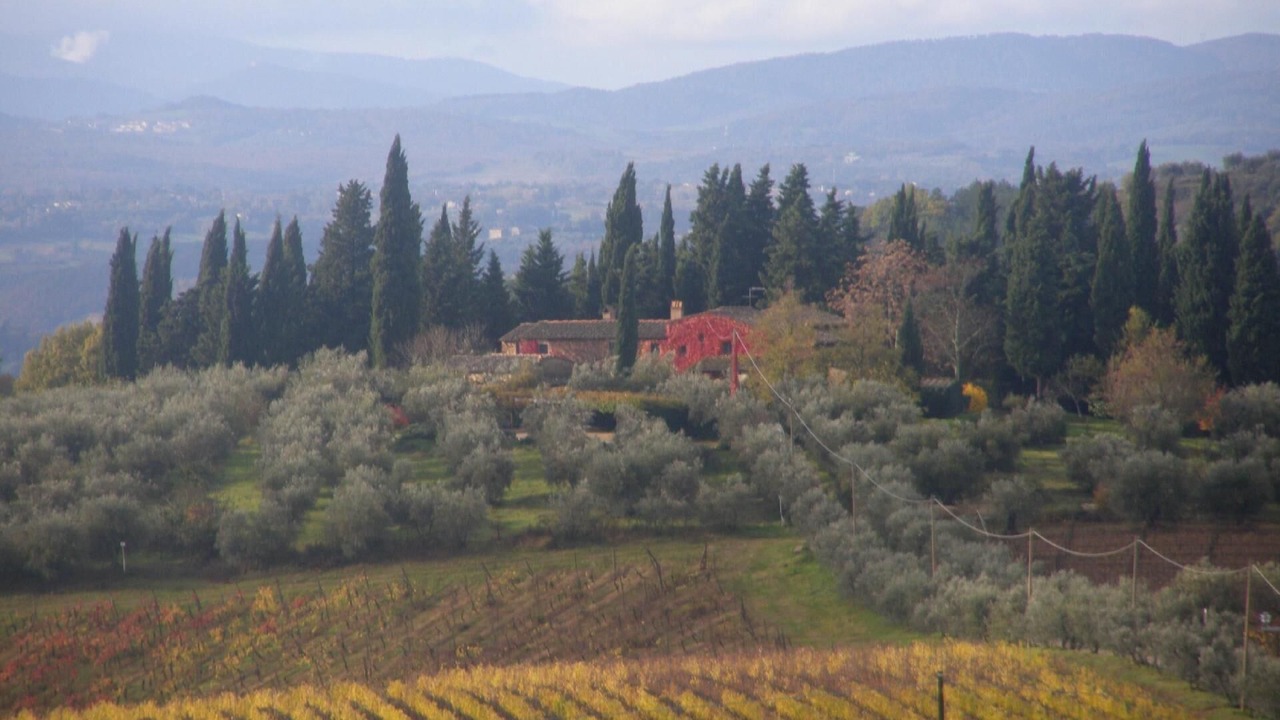 Photo of Others in Barberino Tavarnelle