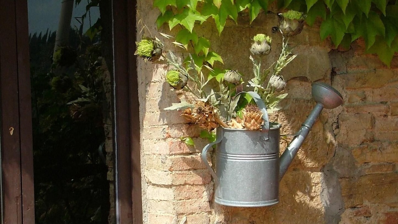 Photo of Outdoor in Barberino Tavarnelle