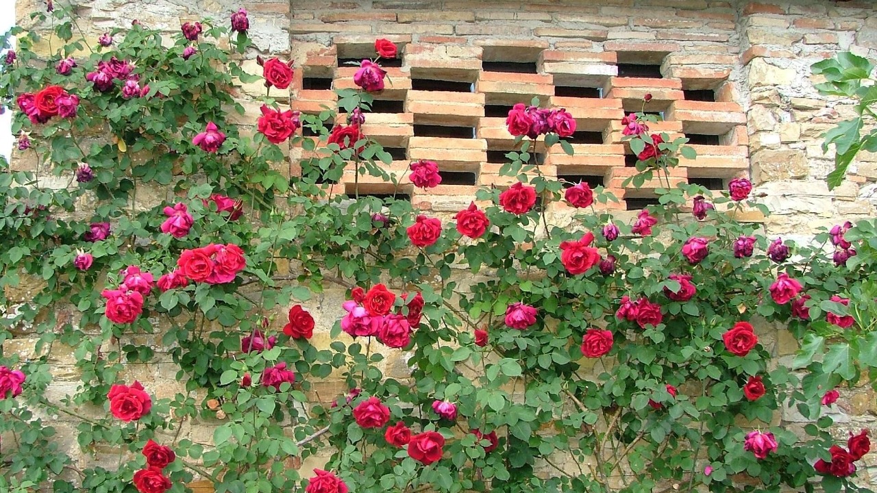 Photo of Outdoor in Barberino Tavarnelle