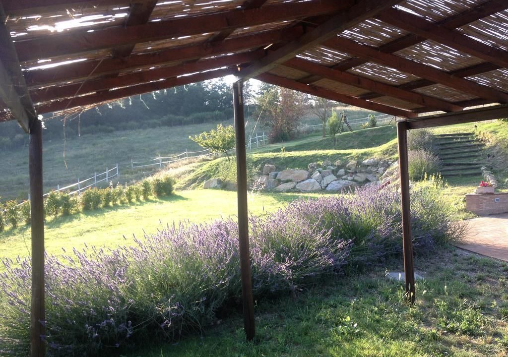 Photo of Outdoor in Allerona