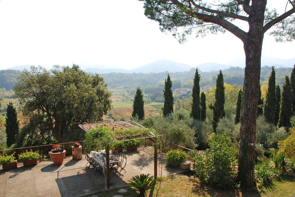 Photo of Others in Capannori
