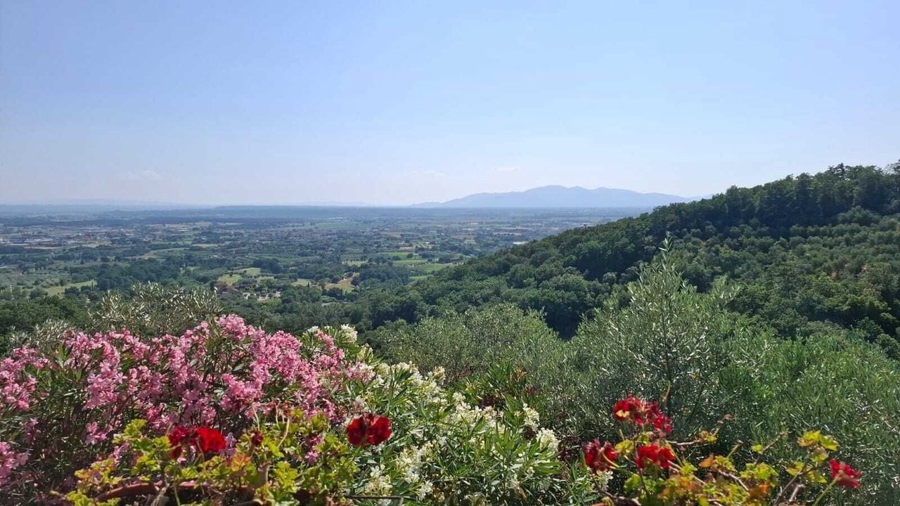 Photo of Outdoor in Monsummano Terme