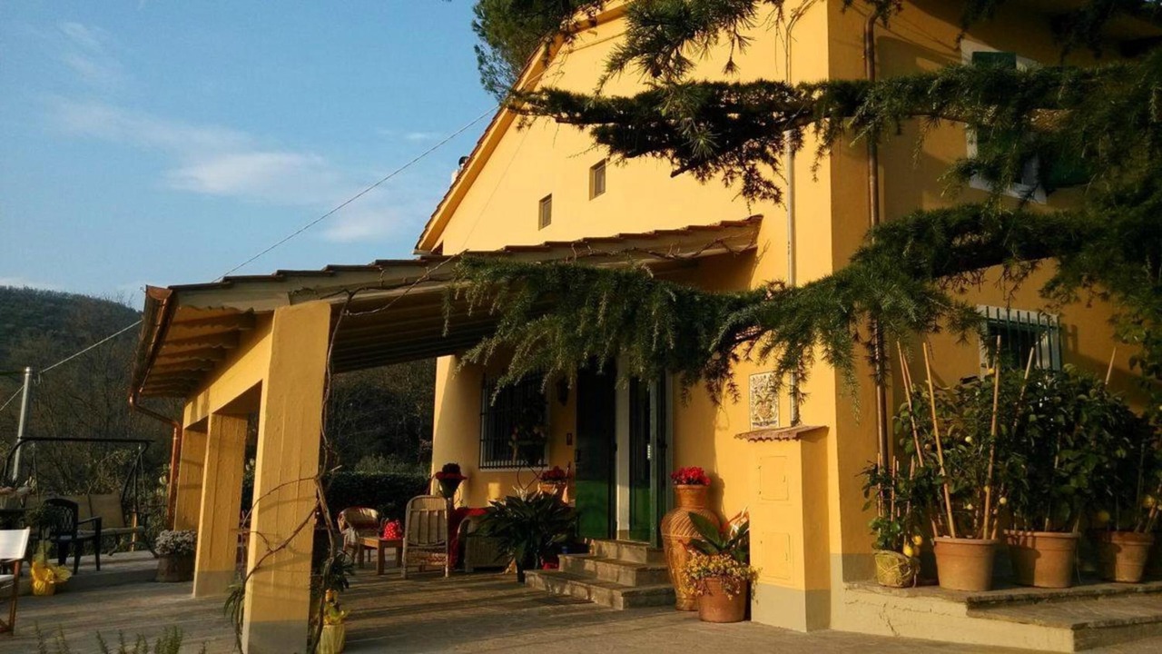 Photo of Outdoor in Monsummano Terme