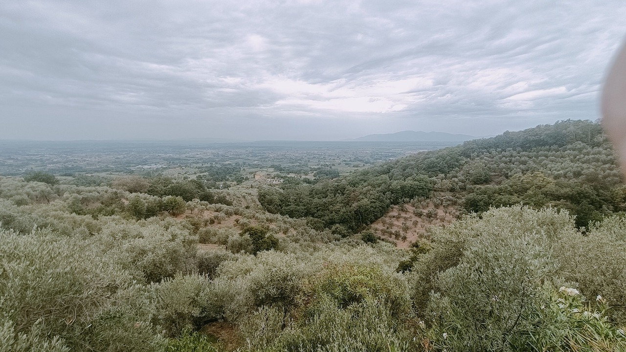 Photo of Outdoor in Monsummano Terme
