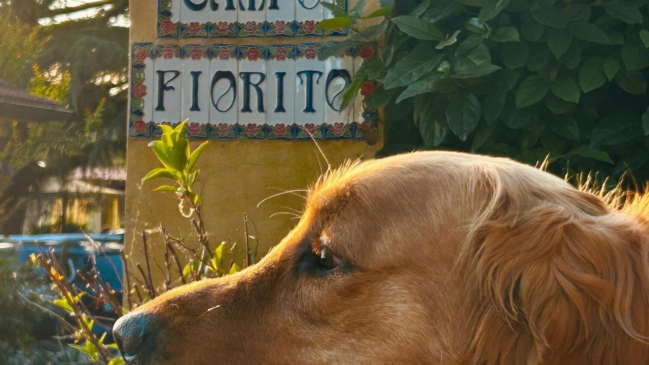 Photo of Outdoor in Monsummano Terme