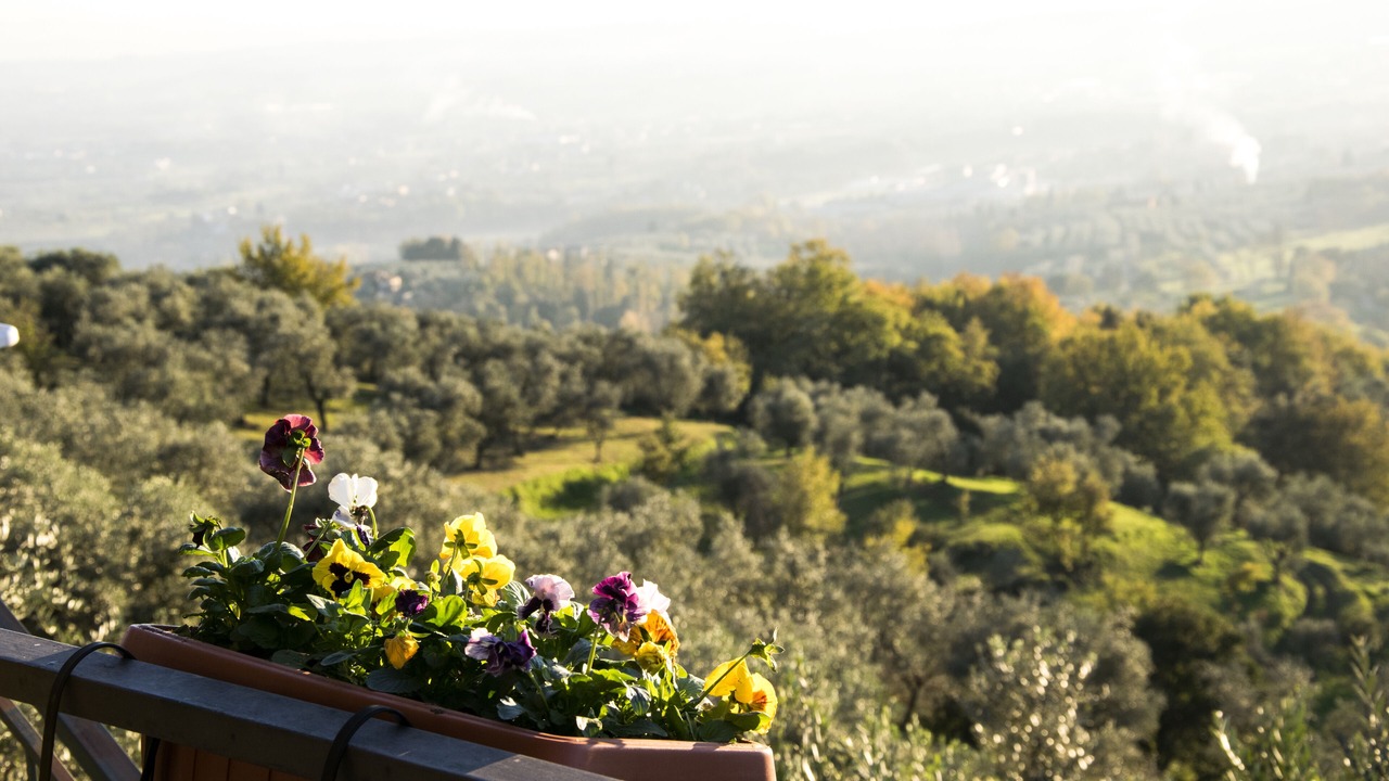 Photo of Outdoor in Monsummano Terme