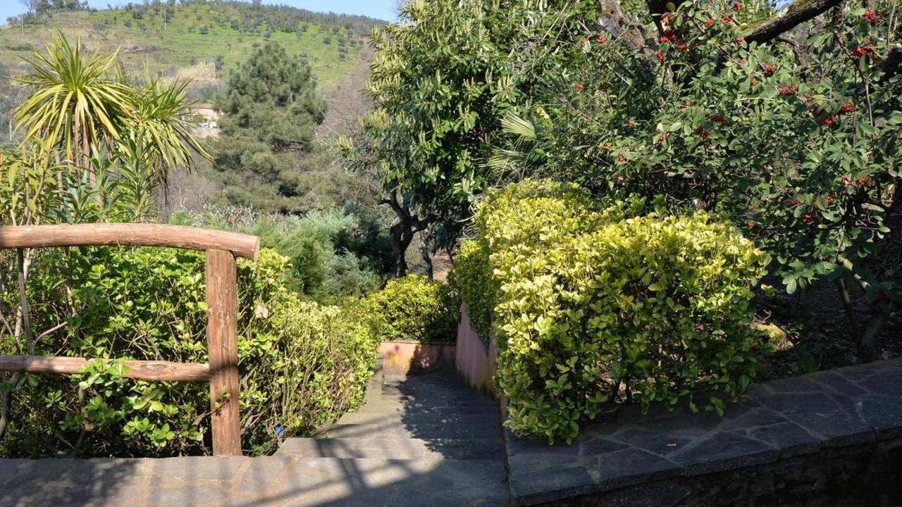Photo of Outdoor in Monsummano Terme