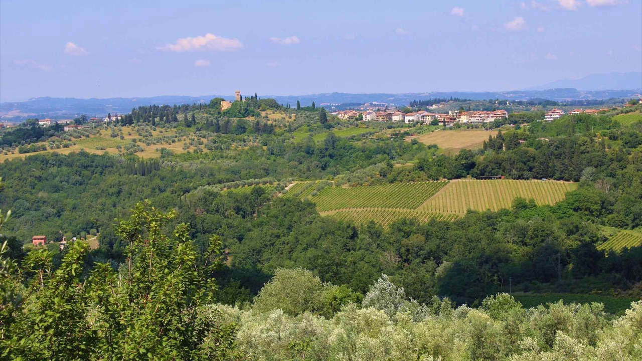 Photo of Outdoor in La Torre
