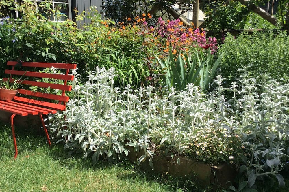 Photo of Outdoor in Trentham